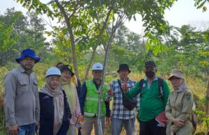 Ratusan Ha DAS 234 di Muara Enim berhasil dipulihkan