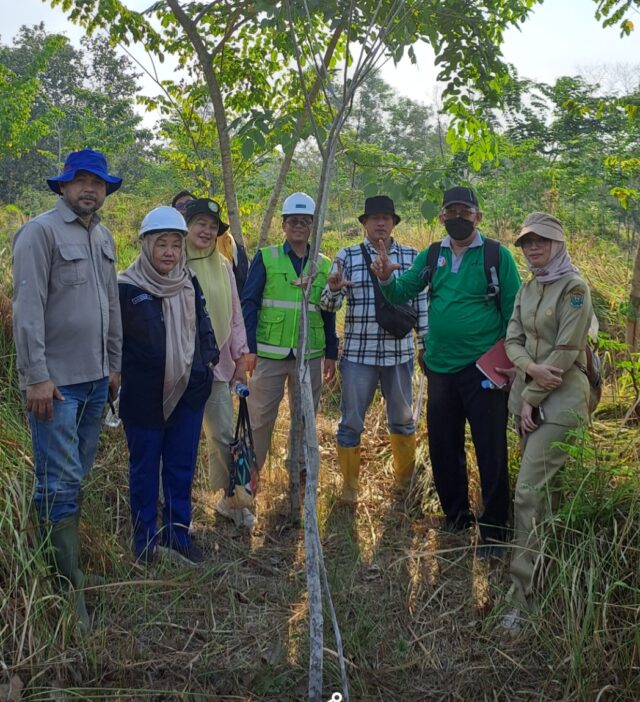 Ratusan Ha DAS 234 di Muara Enim berhasil dipulihkan