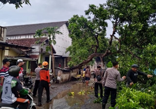 Angin Kencang Terjang Kabupaten Bondowoso, 202 Rumah Rusak