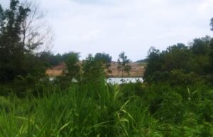 Ancam Aksi, Aktivis Desak Pemerintah Cabut Izin Prima Lazuardi Nusantara