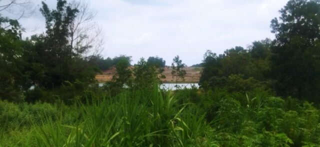 Ancam Aksi, Aktivis Desak Pemerintah Cabut Izin Prima Lazuardi Nusantara