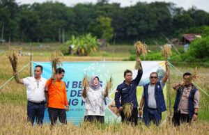PLTS Irigasi PT.BA dukung pertanian berkelanjutan