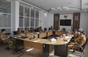 Dampak Abu Vulkanik Gunung Marapi, Tiga Komoditas Sayur Naik