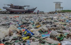 Kemasan Plastik Sekali Pakai Buat Persoalan Sampah makin Kompleks