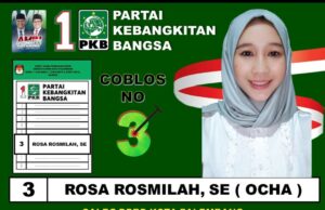 Caleg DPRD kota Palembang, Rosa Rosmilah SE dapil 3 door to door ringan beban masyarakat dengan kartu Hernoe Peduli