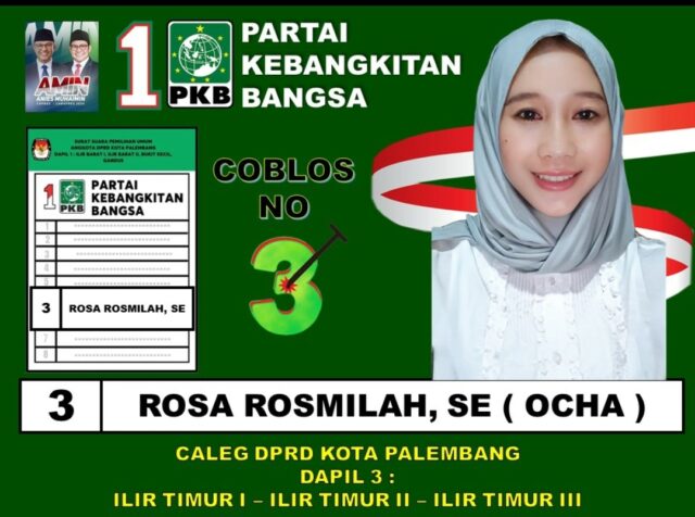 Caleg DPRD kota Palembang, Rosa Rosmilah SE dapil 3 door to door ringan beban masyarakat dengan kartu Hernoe Peduli