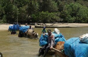 Surat suara di Lampung masuk kedalam air, petugas bergerak cepat