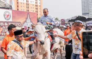 Muzani Hadiri Kontes Sapi APPSI, Singgung Program Makan Siang Gratis Prabowo-Gibran