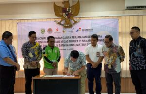 PHE Jambi Merang Tanam 1000 Mangrove Gandeng Lembaga Pengelola Hutan Desa Sunsang