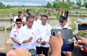 Pembangunan Ibu Kota Nusantara Tingkatkan Potensi Ekonomi Pertanian di Sekitar Kalimantan