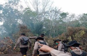 Dibantu Water Bombing, Tim Gabungan Penanggulangan Karhutla Berjibaku Padamkan Api di Indralaya Utara