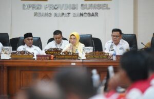 Dengar Keluhan Apdesi, Ketua DPRD Sumsel RA Anita berjanji jadi garda terdepan