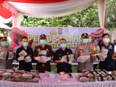 Bupati OKUT dan Kapolres, Musnahkan 35,7 Kg Ganja kering