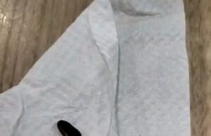 Pelanggan ini hilang mood makan, dalam nasi ada ulat hitam