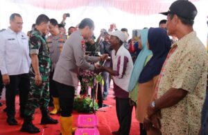 Swasembada Pangan Tahun 2025,10 hektar lahan di OI ditanami Jagung