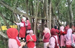 Perayaan Cap Go Meh di Pulau Kemarau Membuat Pohon Cinta Berduka