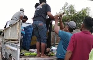 Minim Perhatian Pemerintah, Jalan Rusak di Banyuasin Hambat Akses Layanan Kesehatan