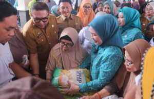 Istri Wali Kota Palembang Ratu Dewa Pensiun Dini, ternyata ini alasannya?
