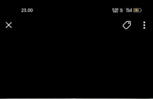 PJ Bupati Empat Lawang Dengarkan Pandangan Umum Pihak Eksekutif Terkait LKPJ TA 2024