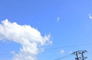 Pawai Ogoh Ogoh berlangsung sukses, Sat Samapta Polres Bengkulu Utara tuai pujian bupati