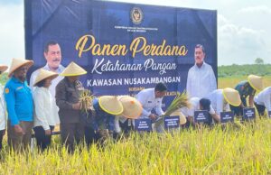 Menteri IMIPAS Panen Perdana Ketahanan Pangan di Nusakambangan