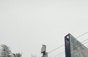 Pangkalan Tungkal Terangi Blankspot dengan Starlink, Inovasi Desa Lahirkan Konektivitas dan Kemandirian