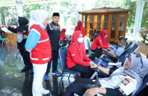 Bantu Masyarakat, Pekat IB dan PMI Palembang Gelar Donor Darah, Target 100 Kantong