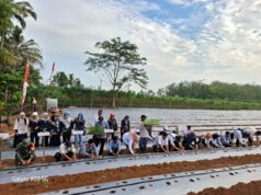 Dari Cabe hingga ikan, Desa Surodadi optimis menuju Swasembada Pangan