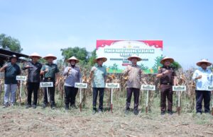 Wali Kota Palembang bersama TNI dan Polri Zoom Meeting Panen Raya Jagung Serentak Seluruh Indonesia