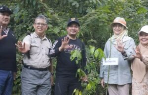 Ketua DPRD Parmin, Hadiri Kegiatan Penanaman Pohon dan Tagging Pohon Asuh Bersama Kementerian Kehutanan