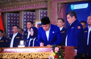 Karang Taruna Sumsel Ukir Sejarah, Ditetapkan sebagai Inspirasi Nasional oleh PNKT