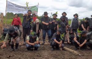Jaga kelestarian alam SK Migas – KKKS Sumsel bersama FJM mrenanam Mangrove