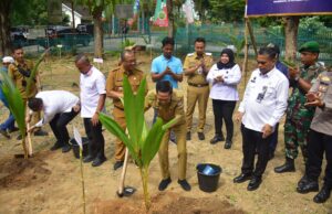 Tanam Bibit Pohon Kelapa Serentak, Wali Kota Ratu Dewa Sukseskan Program Nasional