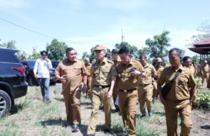 Palembang Segera Miliki Mini Zoo, Ratu Dewa Tinjau Dua Pilihan Lokasi