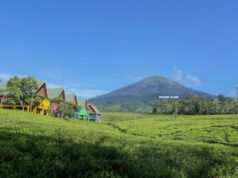 Pesona Pagar Alam: Surga Alam di Kaki Gunung Dempo
