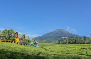 Pesona Pagar Alam: Surga Alam di Kaki Gunung Dempo