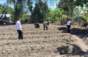 Menteri Imipas: Total Upah untuk Napi di Program Ketahanan Pangan Capai Rp700 Juta