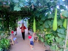 Pemkab Empat Lawang Siapkan Pulau Emas Jadi Kawasan Agrowisata Unggulan