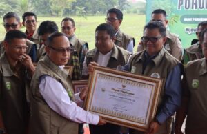 Tanam 55,000 Pohon Mangrove, Medco E&P Dapat Apresiasi dari Gubernur Sumatera Selatan