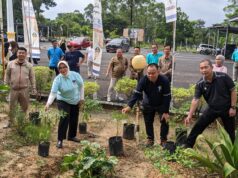 Jaga Inflasi, Dinas Ketapang PALI Luncurkan Gerakan Tanam Cabai Serentak