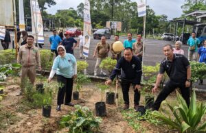 Jaga Inflasi, Dinas Ketapang PALI Luncurkan Gerakan Tanam Cabai Serentak