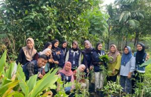 Mahasiswa KKN Bersama KWT Mawar Jaya Lestari Gelar Penanaman Sayuran di Sugih Waras Barat