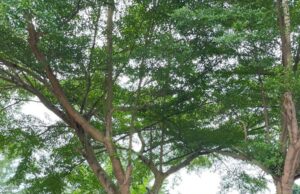 Dit Polairud Polda Sumsel Laksanakan Jumat Berkah kepada Masyarakat