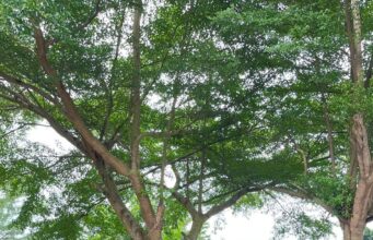 Dit Polairud Polda Sumsel Laksanakan Jumat Berkah kepada Masyarakat