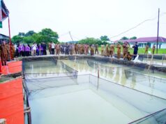 Pemkab Muba Optimalkan Aset Tak Terpakai, Tanam Sawit dan Tebar 10 Ribu Benih Lele