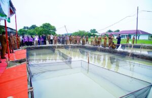 Pemkab Muba Optimalkan Aset Tak Terpakai, Tanam Sawit dan Tebar 10 Ribu Benih Lele