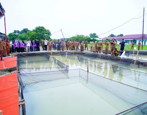 Pemkab Muba Optimalkan Aset Tak Terpakai, Tanam Sawit dan Tebar 10 Ribu Benih Lele