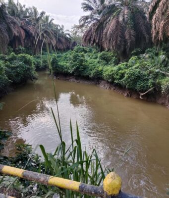 Sempat Diisukan Tercemar, Ternyata Sungai Berau Bersih