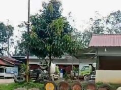 Batching Plant Simpang Raja,.Antara Beton, Debu, dan Ancaman Keselamatan