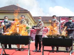 Tegakkan Hukum Profesional, Kapolda Sumsel Ungkap Perkembangan Kasus Ladang Ganja Empat Lawang